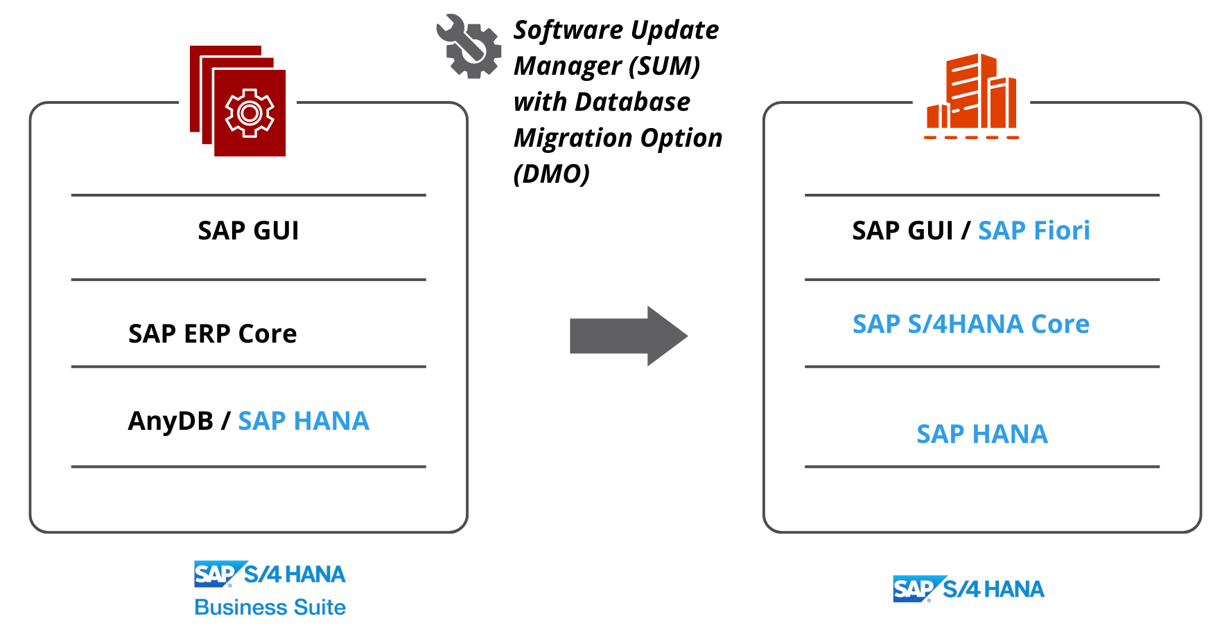 SAP S/4HANA Adoption with a System Conversion