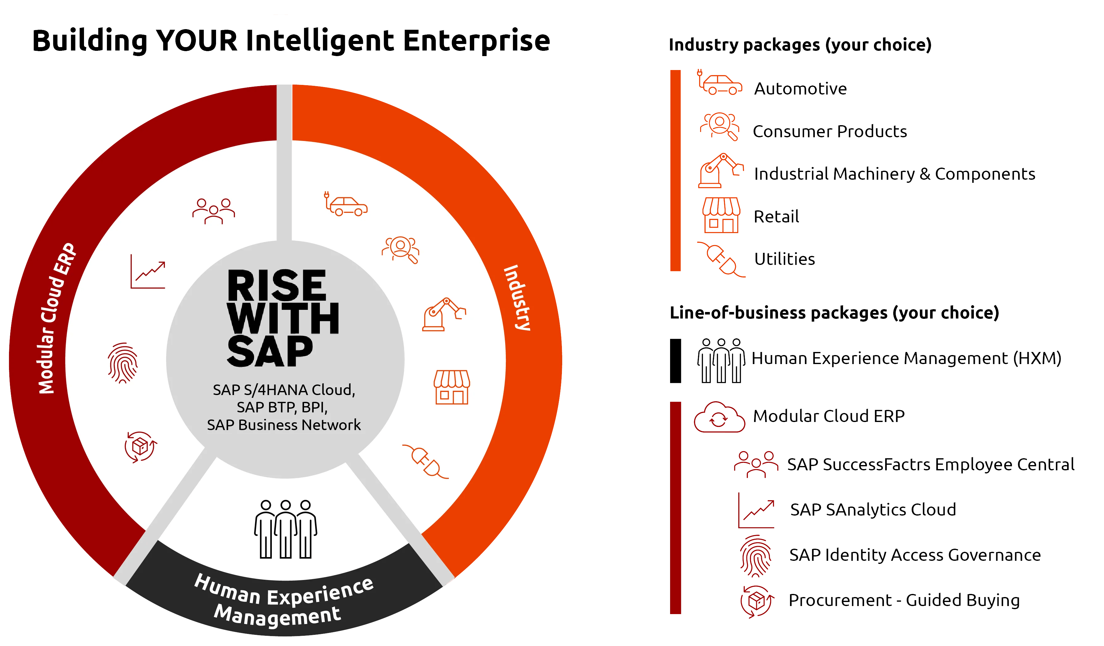 RISE with SAP for Utilities